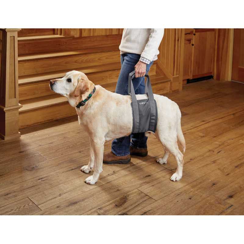 Gray Rear Dog Lift A3136