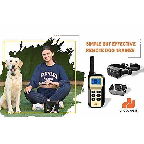 Auto Anti Bark Humane Beep O415913