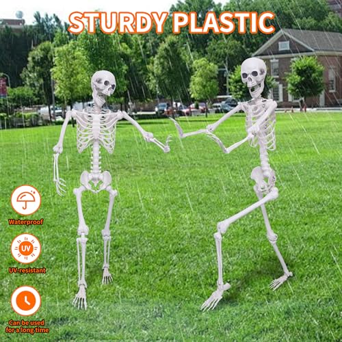 2 Pack 5.4Ft Posable Life Size Skeleton Decorations J486