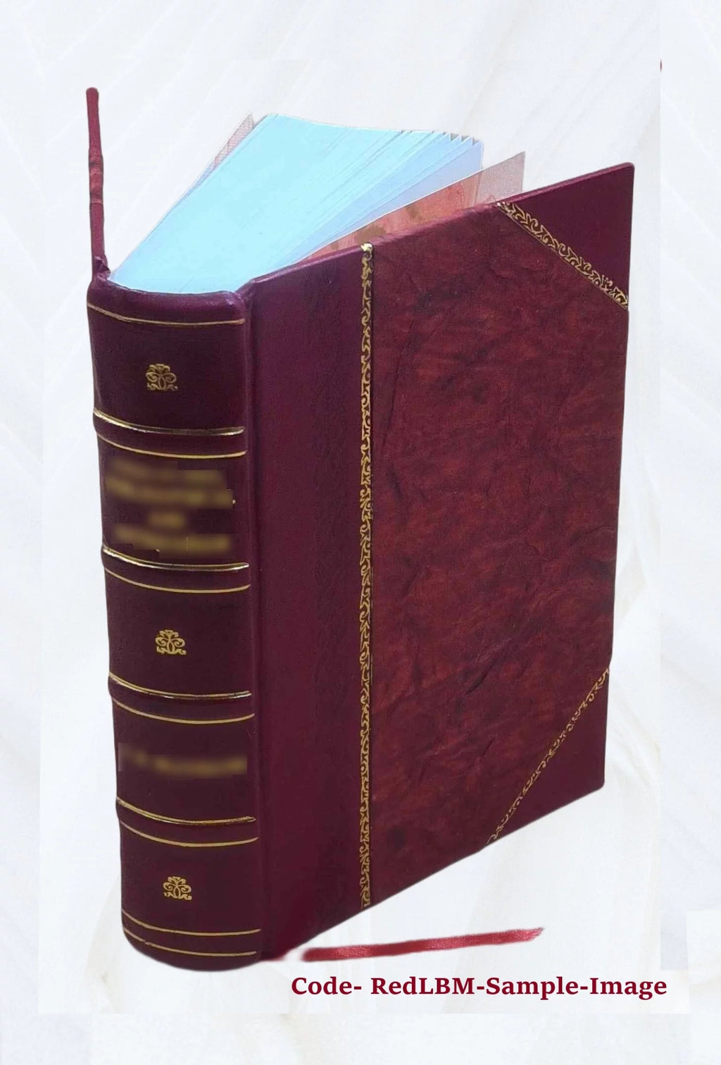 Thesaurus fori ecclesiastici R3348