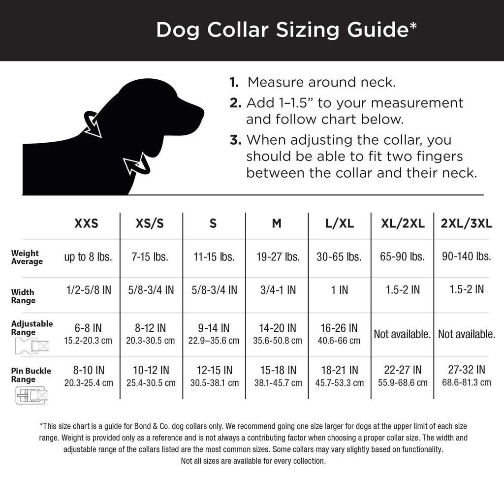 Reflective Dog Collar I79536