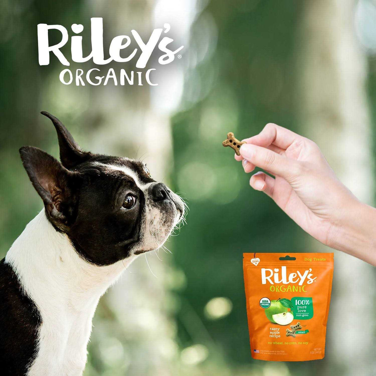 Dog Treats G822