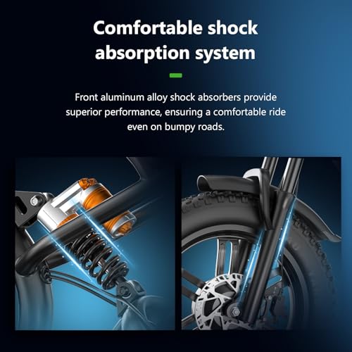 750W 48V 15Ah Removable Battery 20"x4.0" Fat Tire Full Suspension 7-Speed Electric Bike Y991878