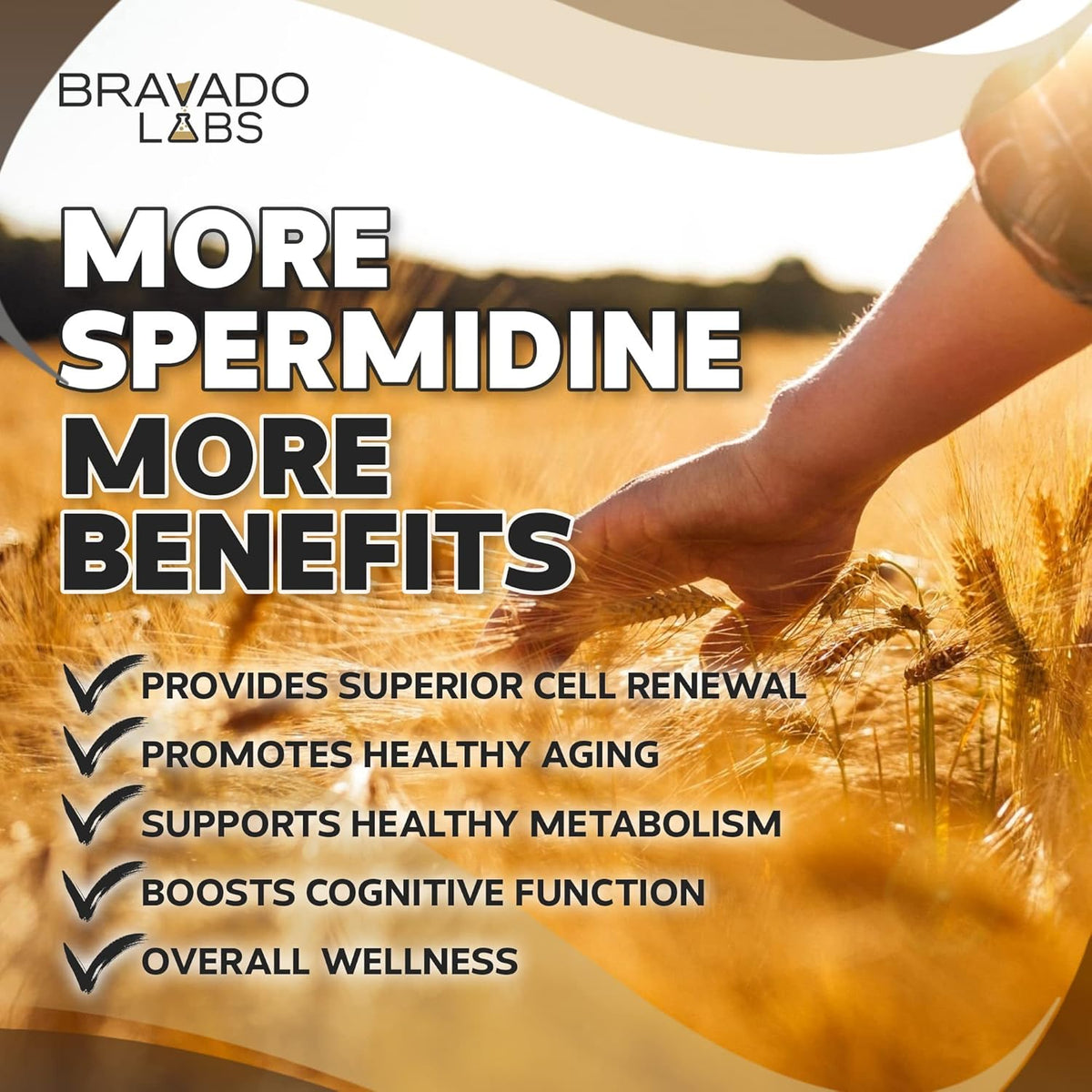 Spermidine Supplement - Wheat Germ Extract with Thiamine - 60 ct W931039