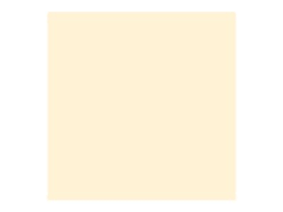 Ivory 8.5 in x 11 in 250 Sheet Card Stock Q9391