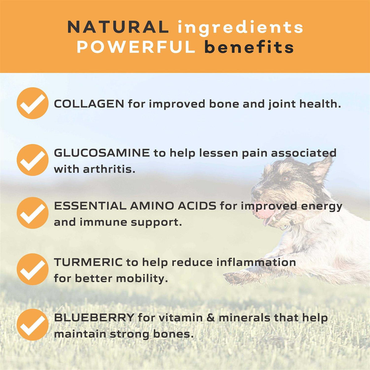 Collagen Chew for Dogs G99311