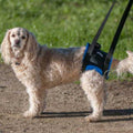 Walkabout Original Back End Harness G185