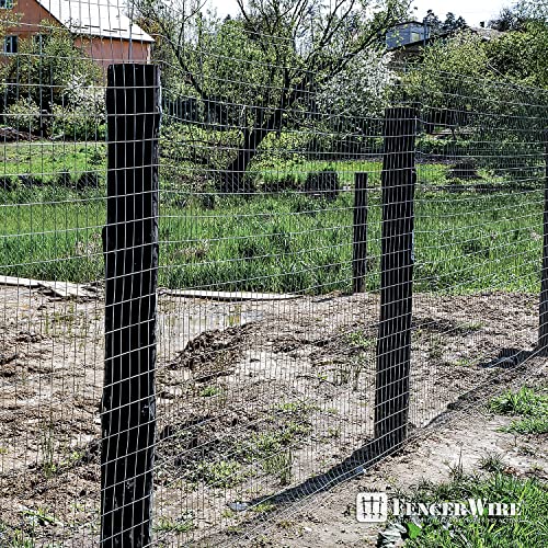 14 Gauge Galvanized Welded Wire Mesh 2 inch by 4 inch R578