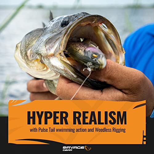 3D Pulse Tail Trout 8" Sinking Lure D362