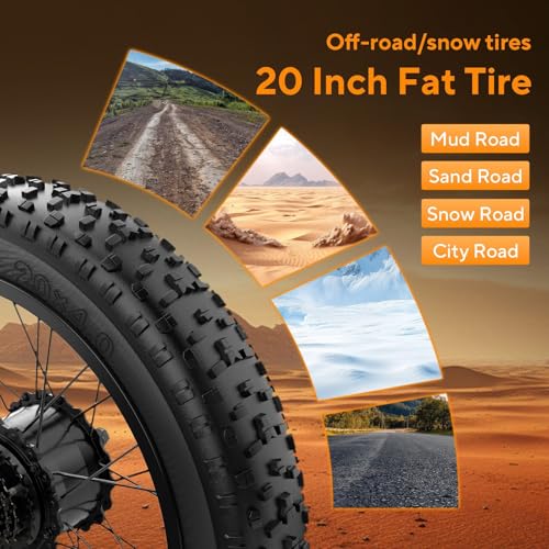 750W 48V 15Ah Removable Battery 20"x4.0" Fat Tire Full Suspension 7-Speed Electric Bike Y991878