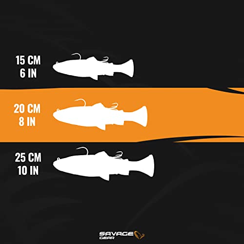 3D Pulse Tail Trout 8" Sinking Lure D362