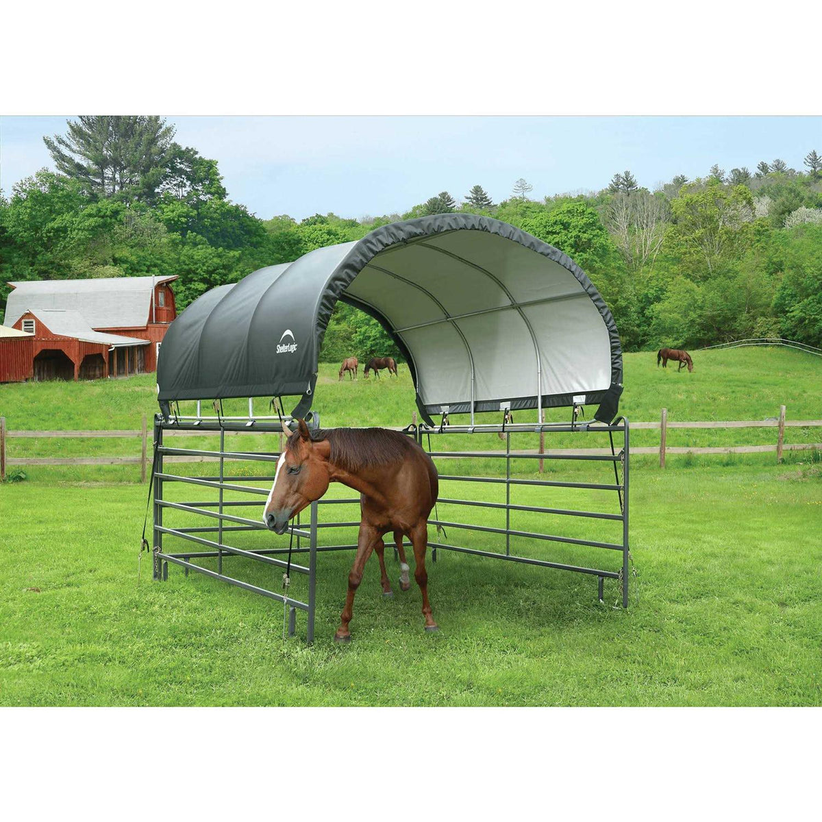 Corral Shelter Z42412