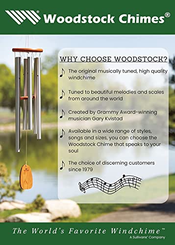 30'' Silver Wind Chimes F475484