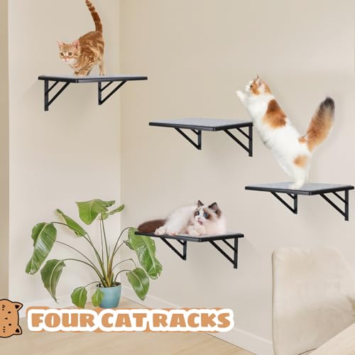 Black Cat Wall Shelves Set of 2 M856