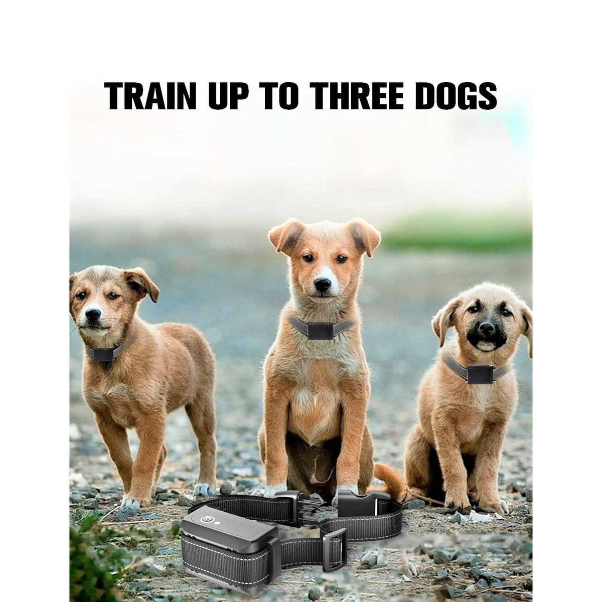 Auto Anti Bark Humane Beep O415913