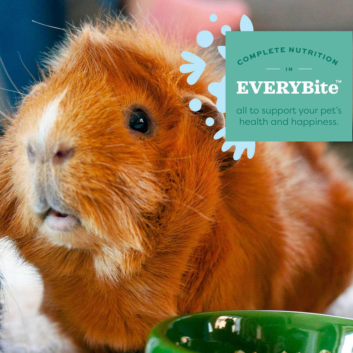 Senior Guinea Pig Food W957