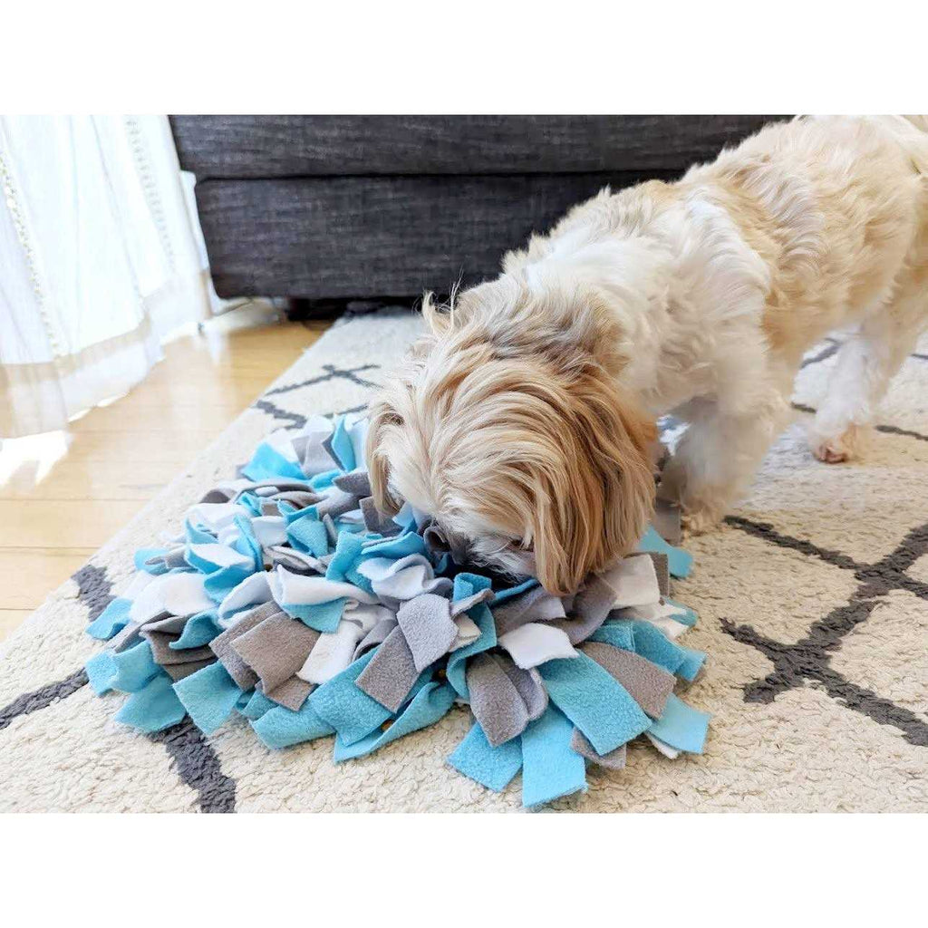 Snuffle Mat Dog Toys P722