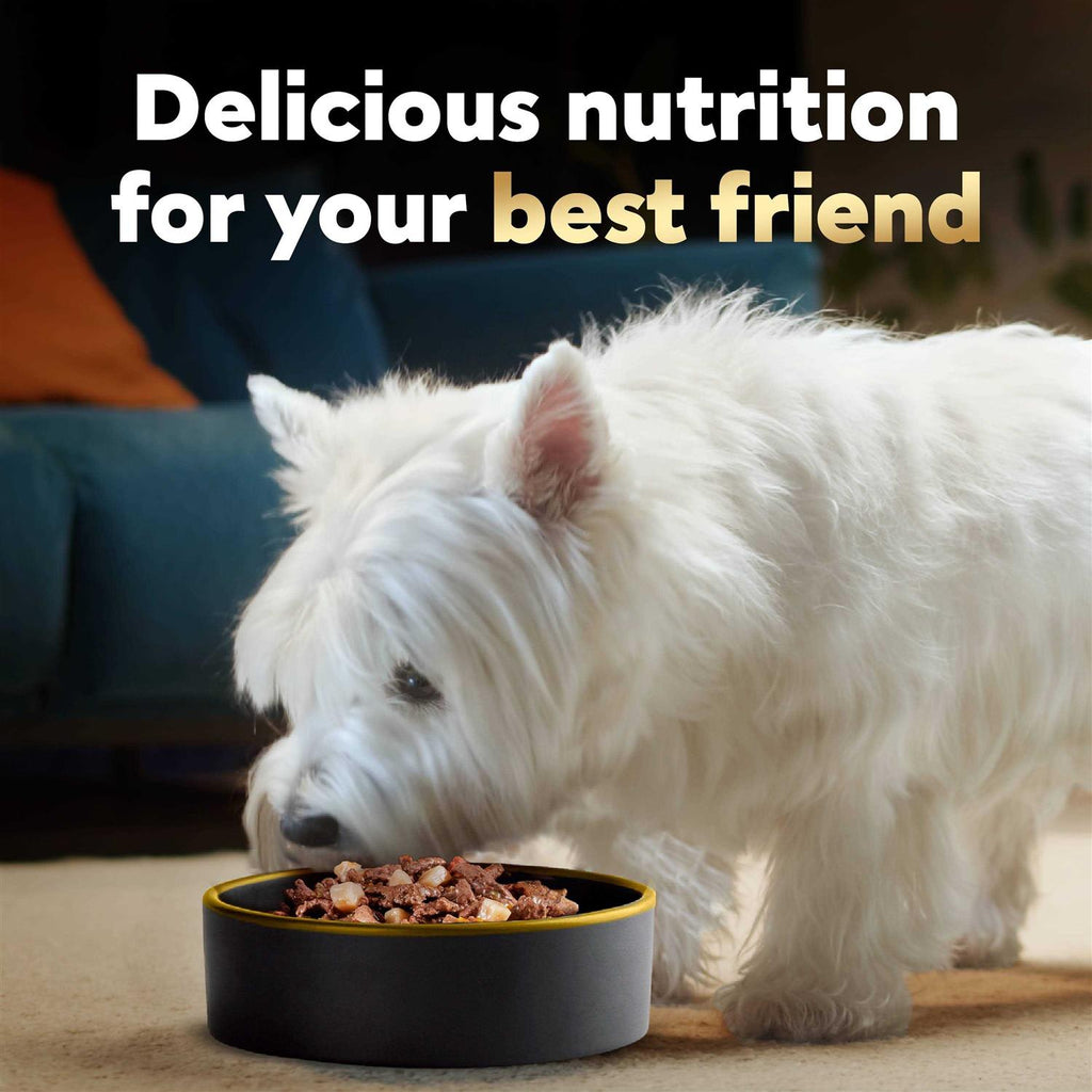 Vegetables Dog Food S95081