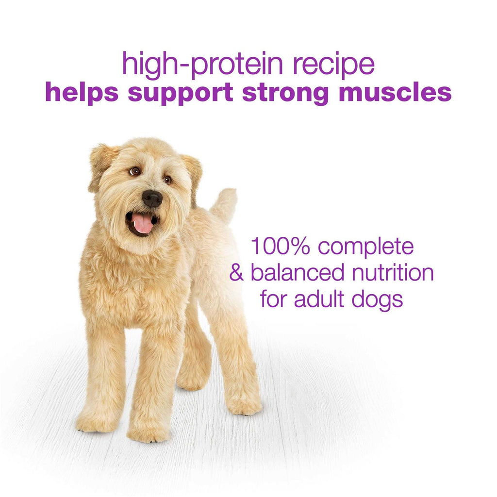 Wet Dog Food P1250