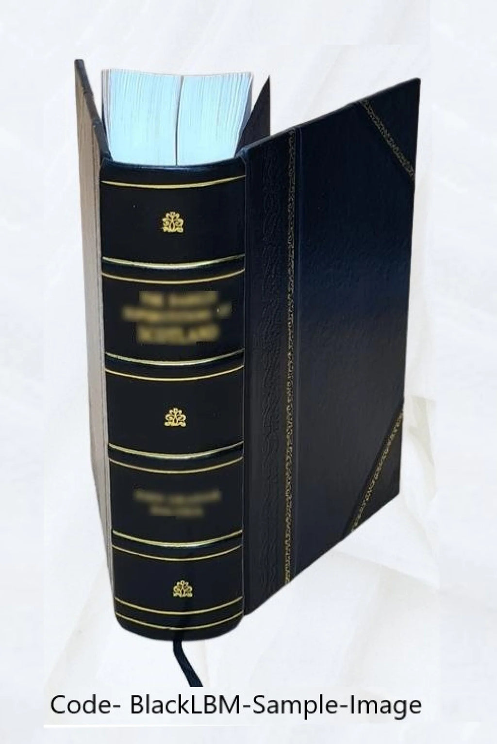 Leather Bound Book A1303