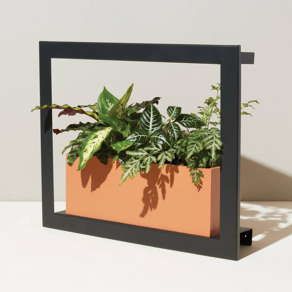 Matte Black Smart Growframe X500564