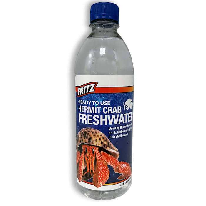 Hermit Crab Fresh Water T498901