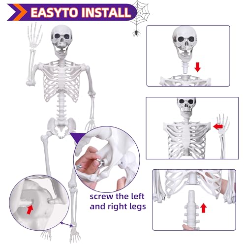 2 Pack 5.4Ft Posable Life Size Skeleton Decorations J486