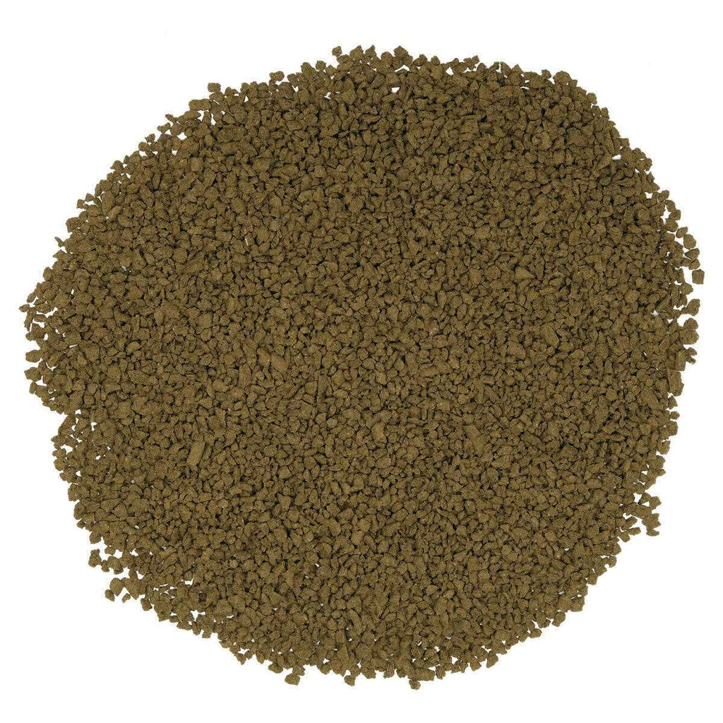 Bug Bites Pleco Formula Sticks for Medium-Large Fish X521327