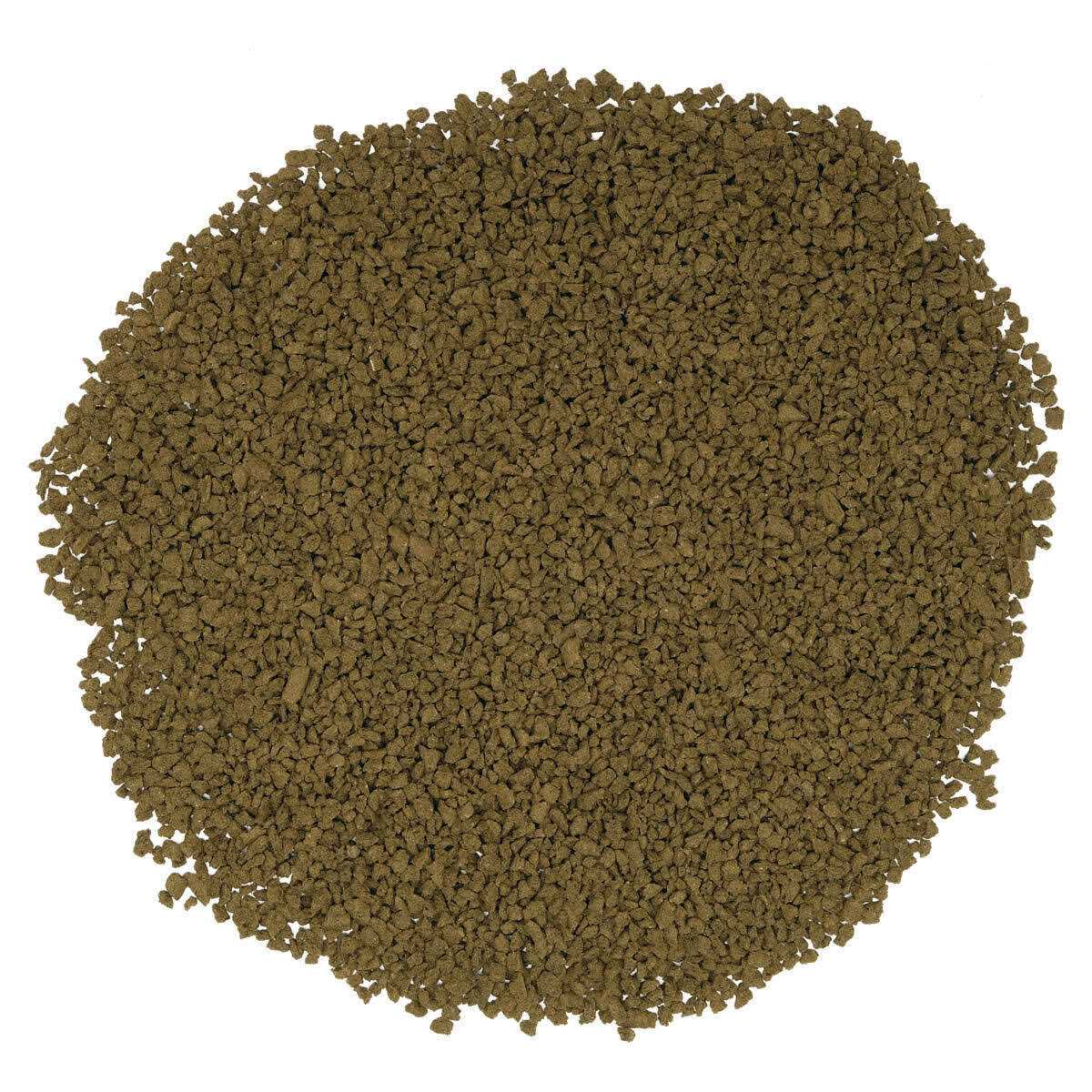 Bug Bites Pleco Formula Sticks for Medium-Large Fish X521327