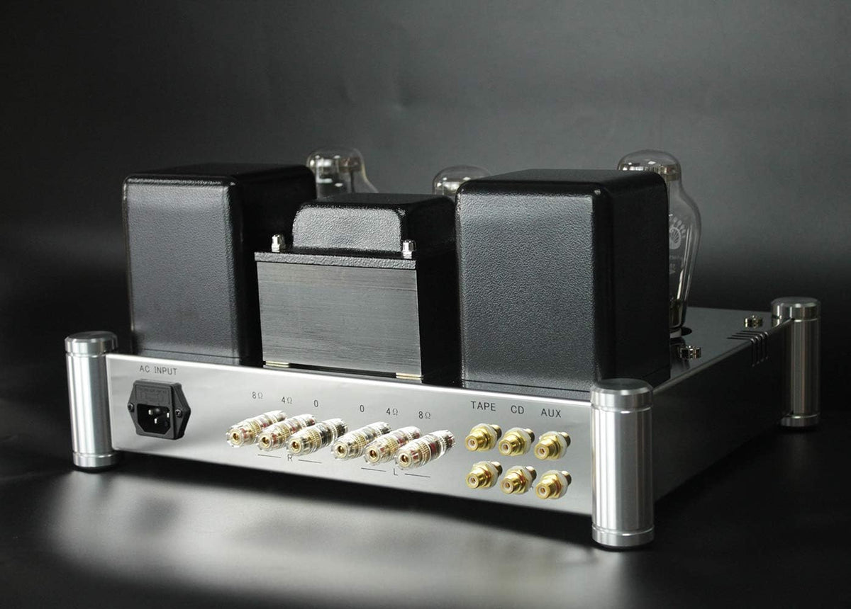 300B Tube Amplifier with Tube Cage O5440