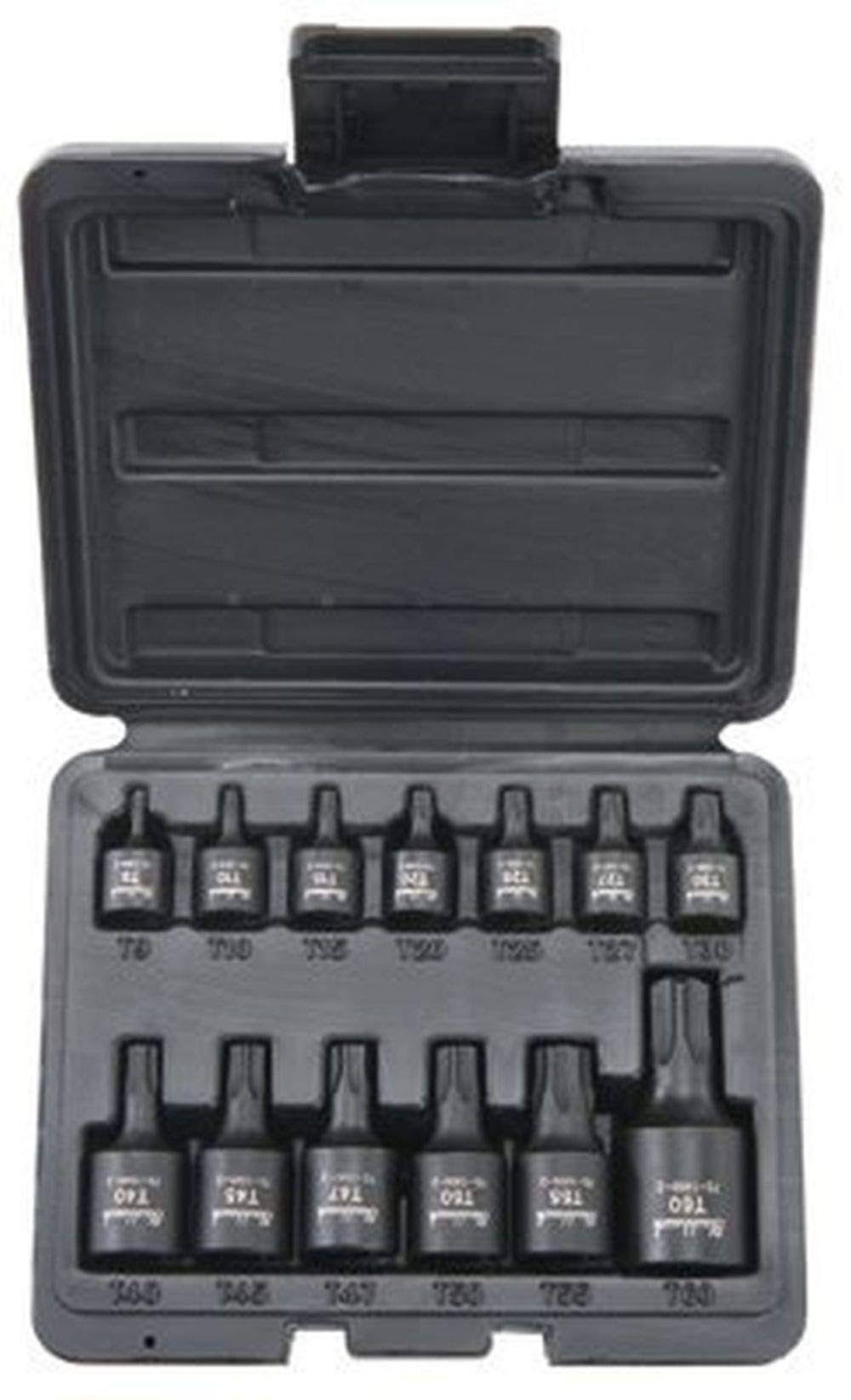 13 Piece Internal Torx Socket Sets Q247501