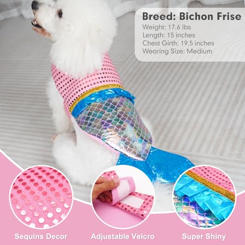 Dog Costumes Size XL N51008