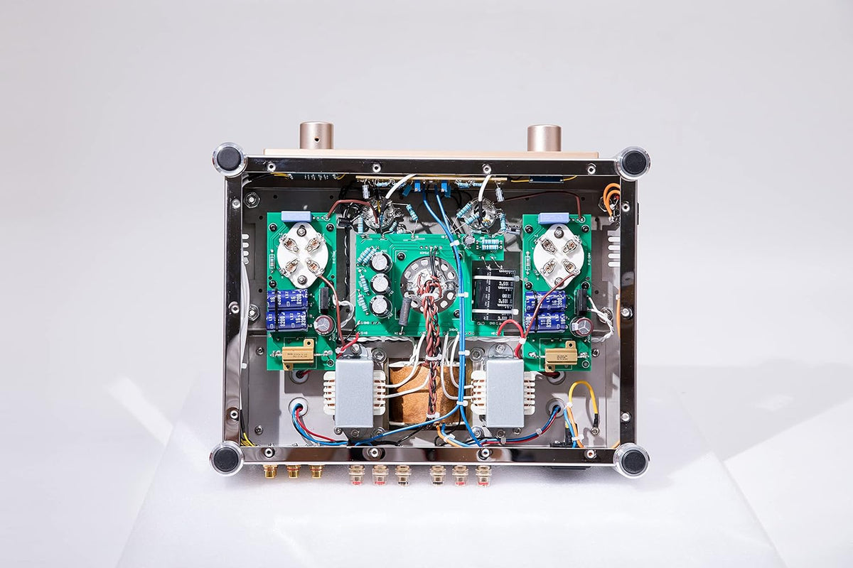 300B Tube Amplifier with Tube Cage O5440