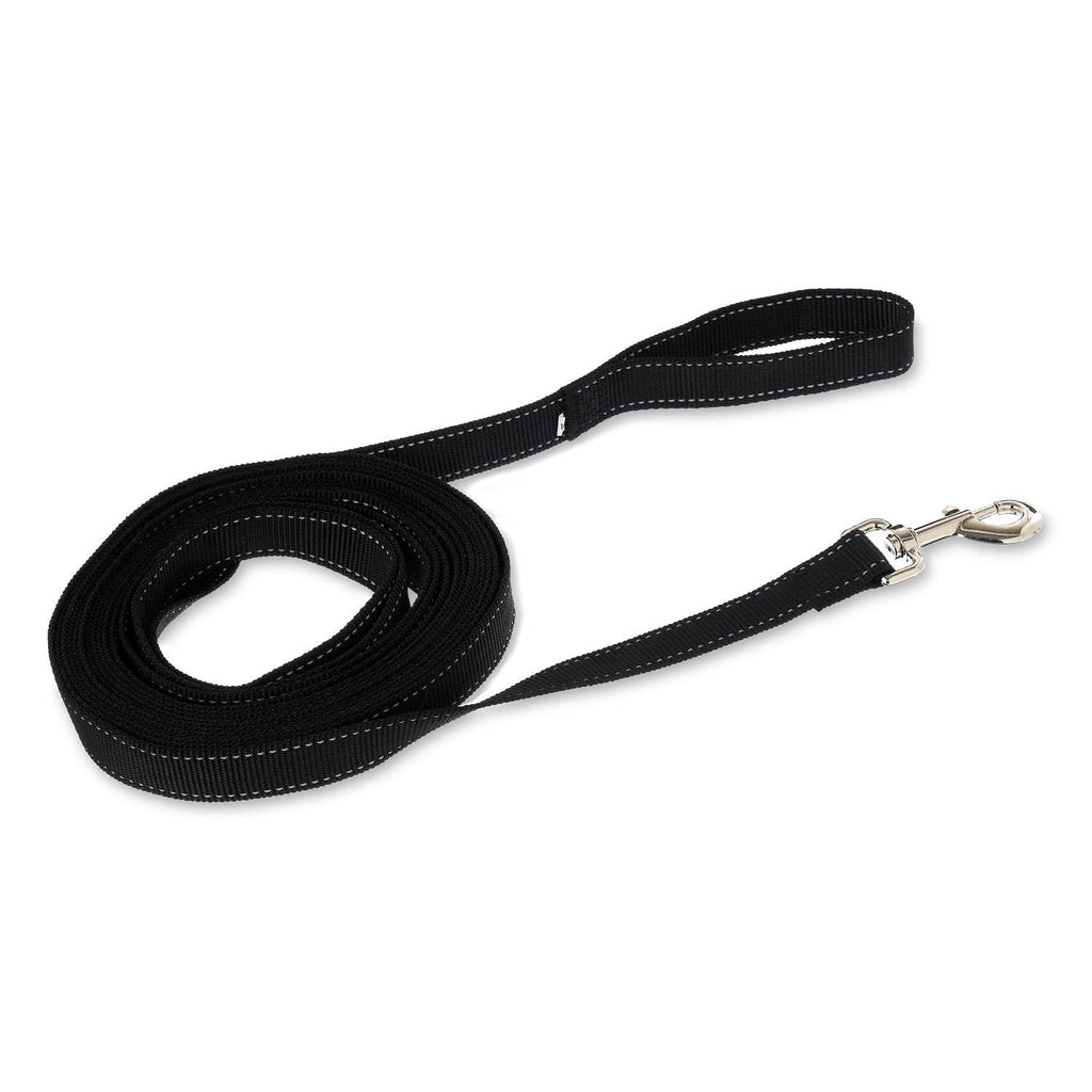 20′ Polyester Slip Lead Dog Leash T8715