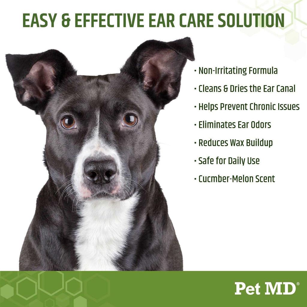 Aloe & Eucalyptus Dog Ear Wipes W895945