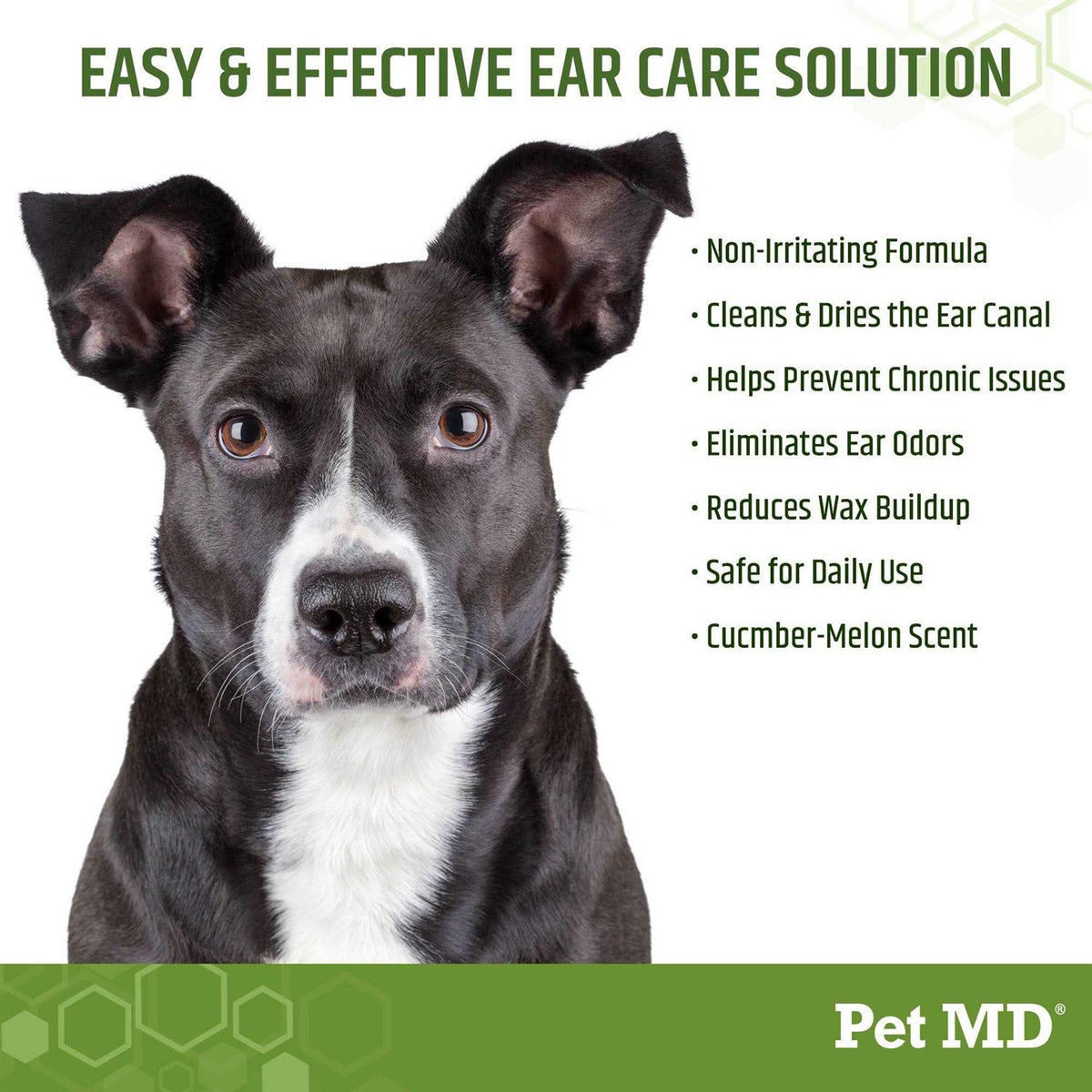 Aloe & Eucalyptus Dog Ear Wipes W895945