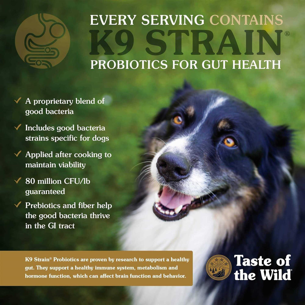 Small Breed Dog Food M902010