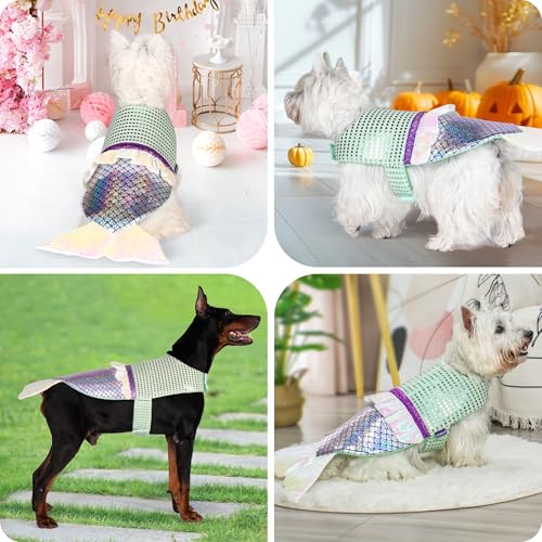 Dog Costumes Size XL N51008