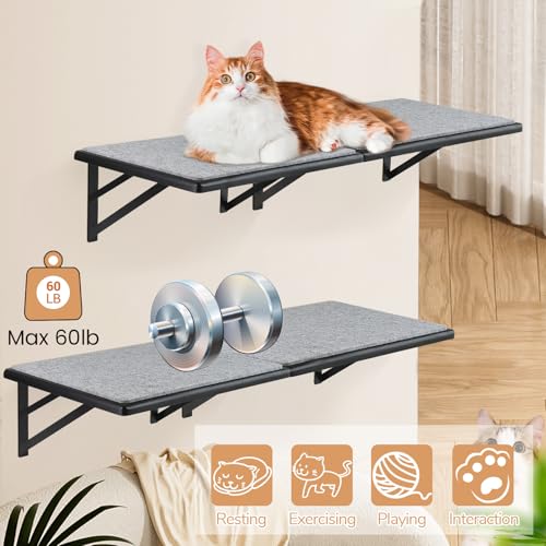 Black Cat Wall Shelves Set of 2 M856