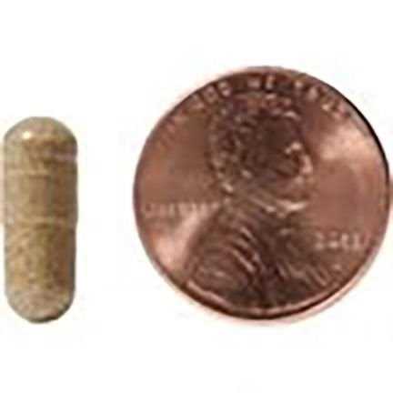 Homeopathic Medicine for Urinary Tract Infections UTI for Dogs P248