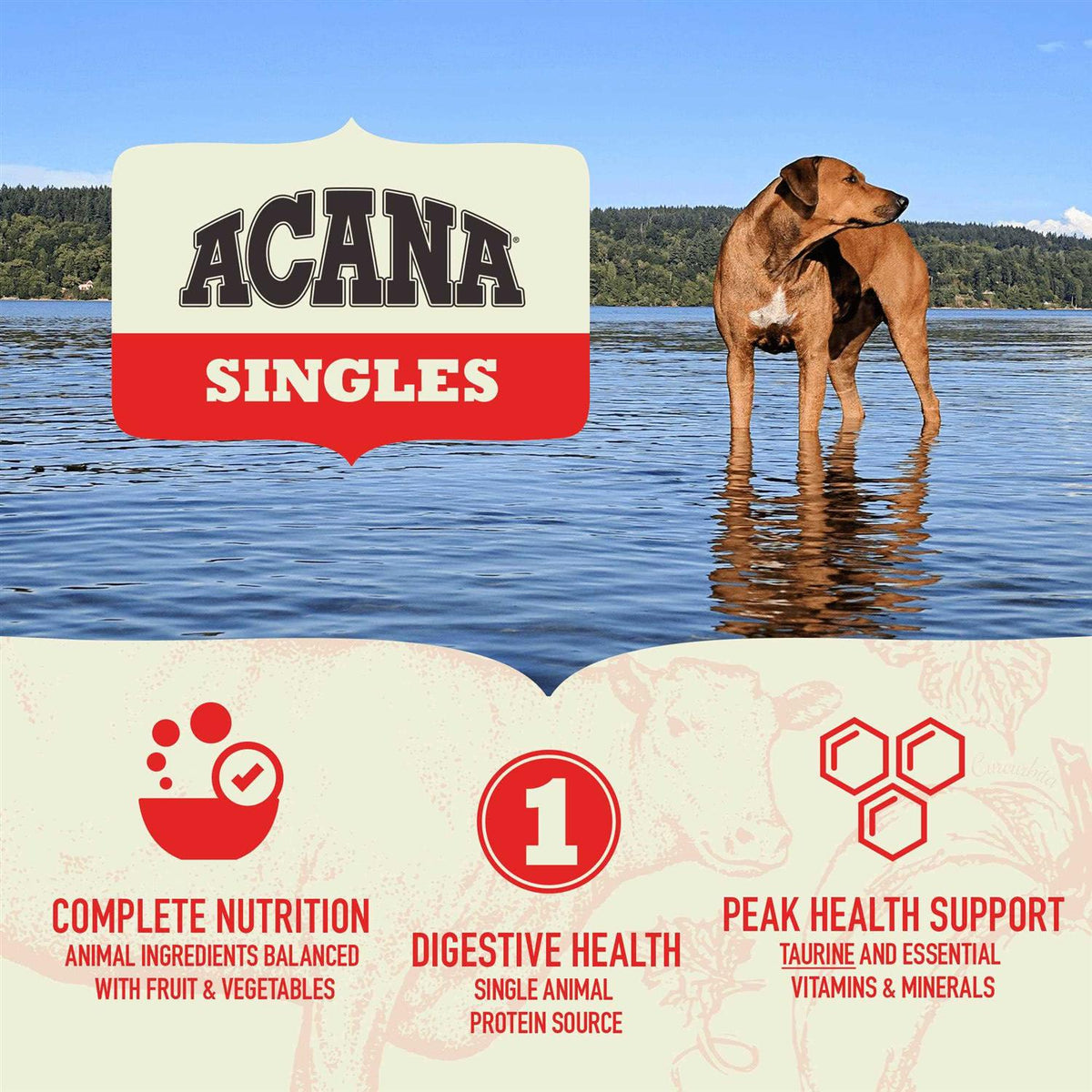 Grain-Free Pork & Squash Dry Dog Food J79587