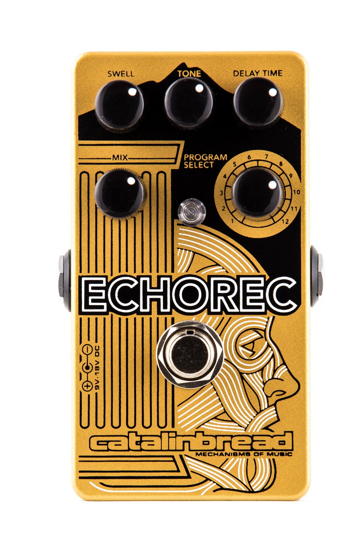 Multi Tap Echo Pedal Y3527