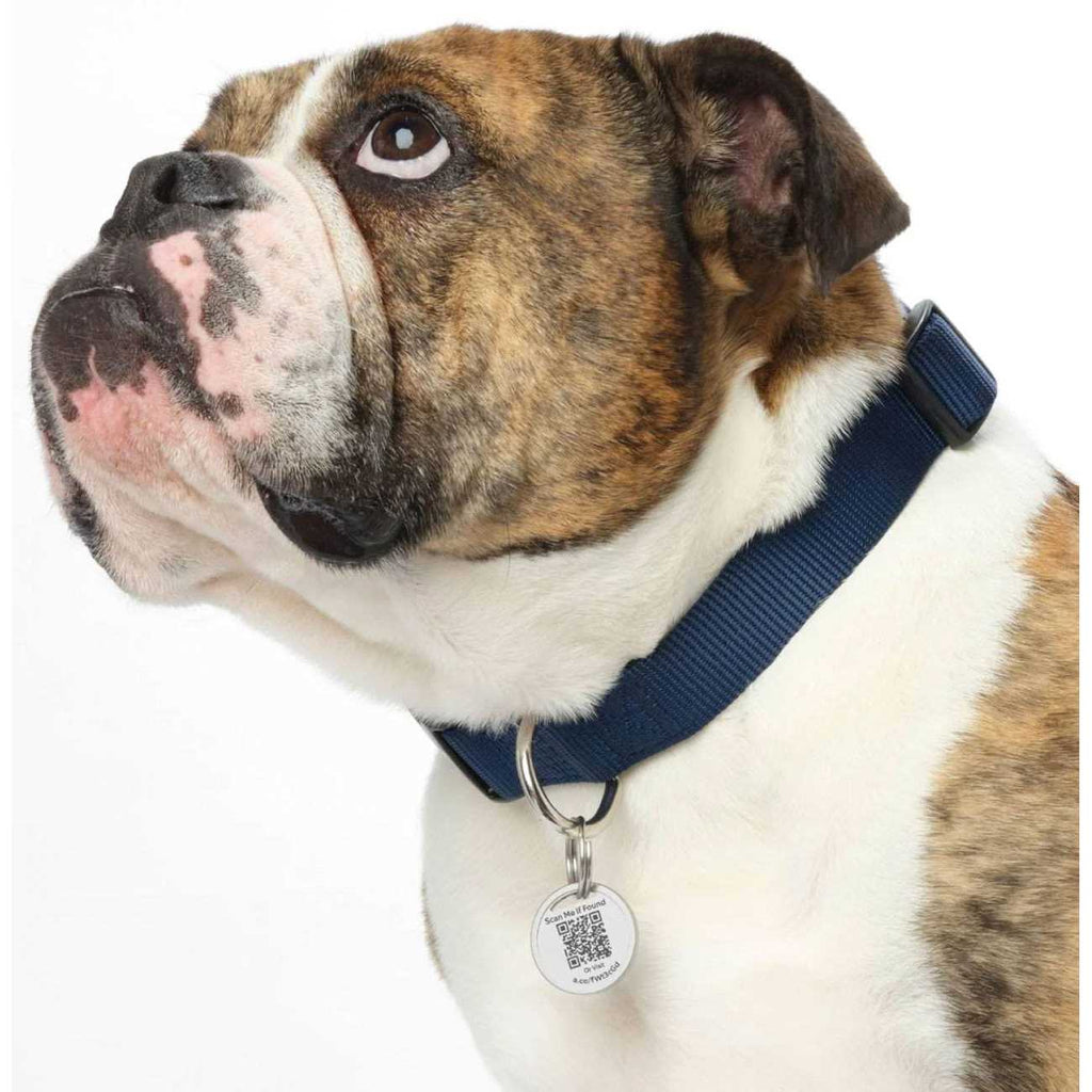 QR Code Pet Tag K367647