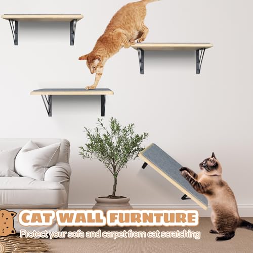 Black Cat Wall Shelves Set of 2 M856