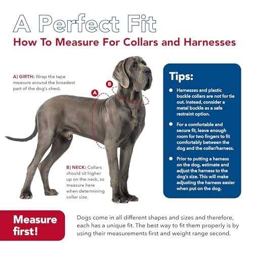 Adjustable Dog Collar G777