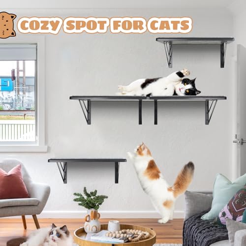 Black Cat Wall Shelves Set of 2 M856